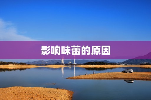 影响味蕾的原因