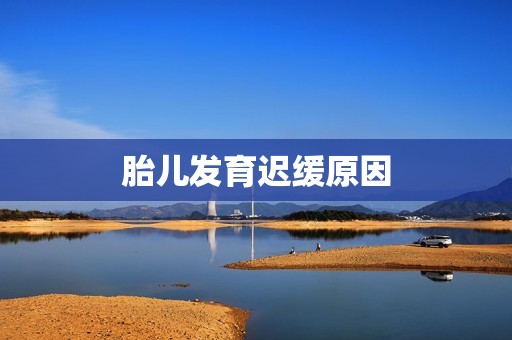 胎儿发育迟缓原因