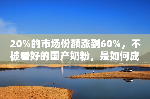 20%的市场份额涨到60%，不被看好的国产奶粉，是如何成功逆袭的