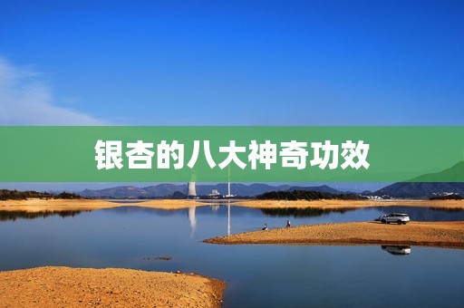 银杏的八大神奇功效