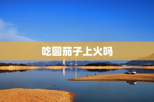 吃圆茄子上火吗