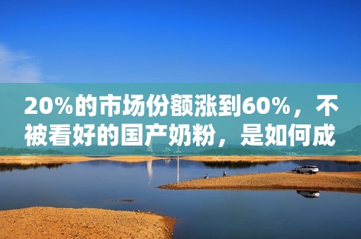 20%的市场份额涨到60%，不被看好的国产奶粉，是如何成功逆袭的