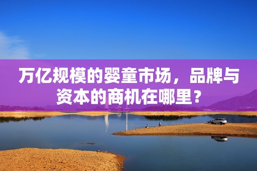 万亿规模的婴童市场，品牌与资本的商机在哪里？