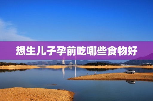 想生儿子孕前吃哪些食物好