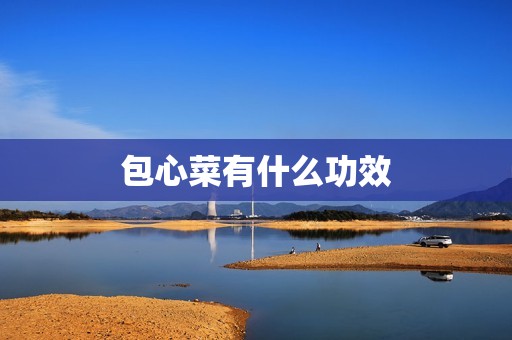 包心菜有什么功效