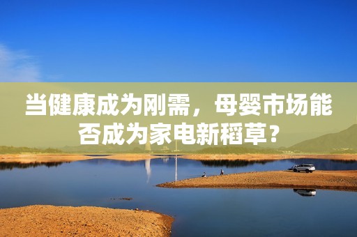 当健康成为刚需，母婴市场能否成为家电新稻草？