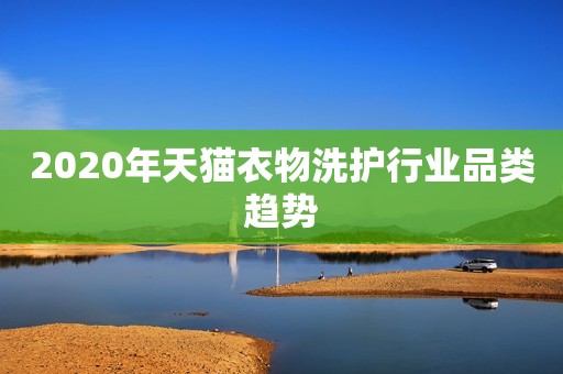 2020年天猫衣物洗护行业品类趋势