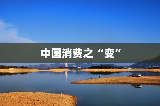 中国消费之“变”