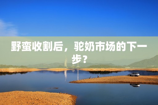 野蛮收割后，驼奶市场的下一步？