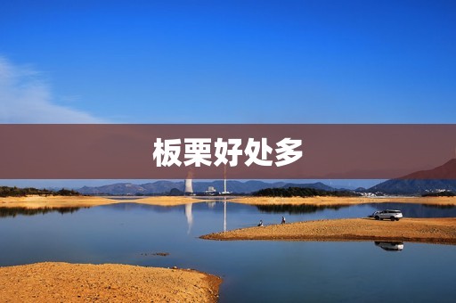 板栗好处多