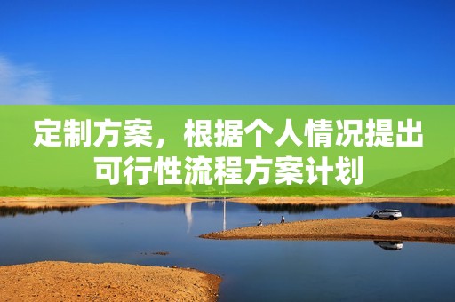 定制方案，根据个人情况提出可行性流程方案计划