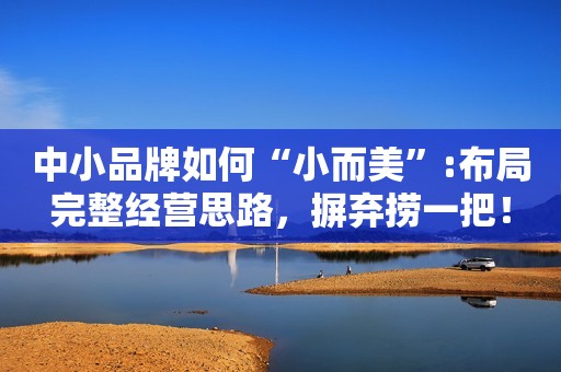 中小品牌如何“小而美”:布局完整经营思路，摒弃捞一把！