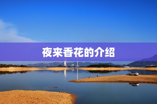 夜来香花的介绍