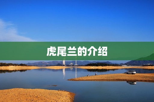 虎尾兰的介绍