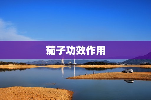 茄子功效作用