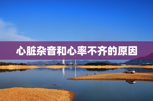 心脏杂音和心率不齐的原因
