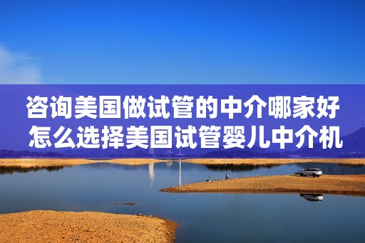 咨询美国做试管的中介哪家好 怎么选择美国试管婴儿中介机构