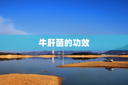 牛肝菌的功效