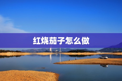 红烧茄子怎么做