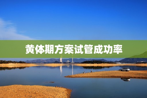 黄体期方案试管成功率