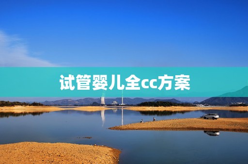 试管婴儿全cc方案