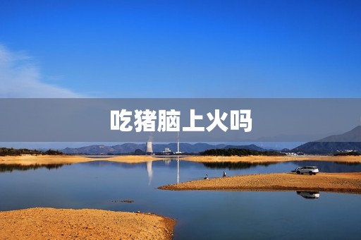 吃猪脑上火吗
