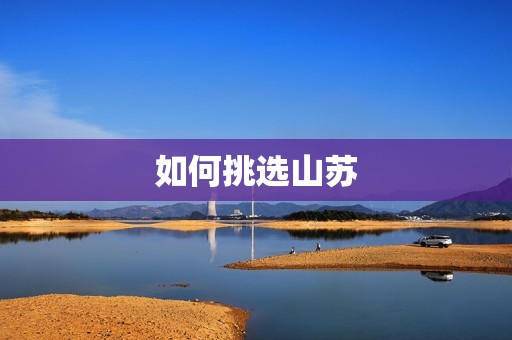 如何挑选山苏