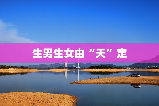 生男生女由“天”定