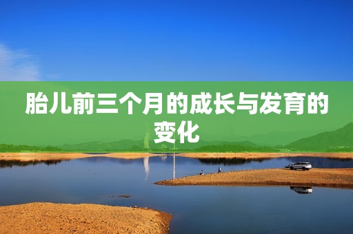 胎儿前三个月的成长与发育的变化