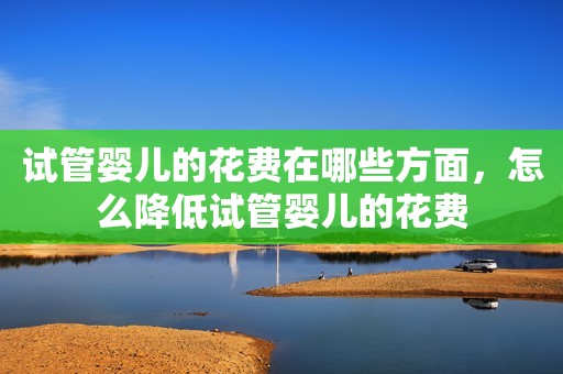 试管婴儿的花费在哪些方面，怎么降低试管婴儿的花费