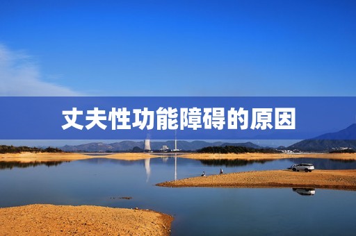 丈夫性功能障碍的原因
