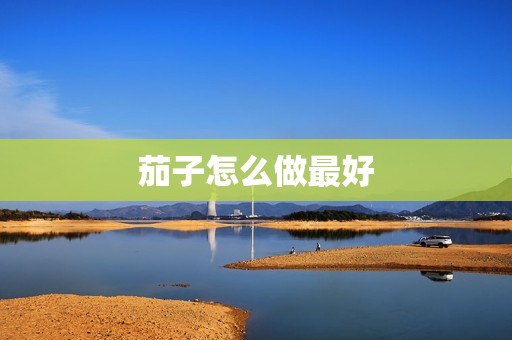 茄子怎么做最好