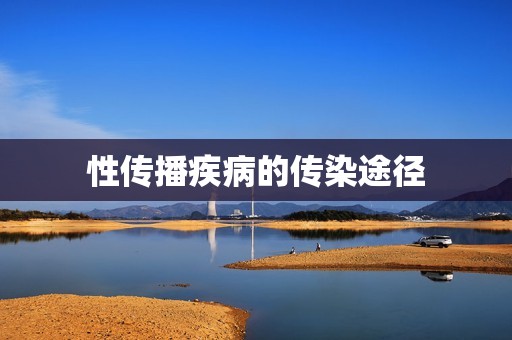 性传播疾病的传染途径