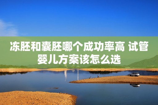 冻胚和囊胚哪个成功率高 试管婴儿方案该怎么选