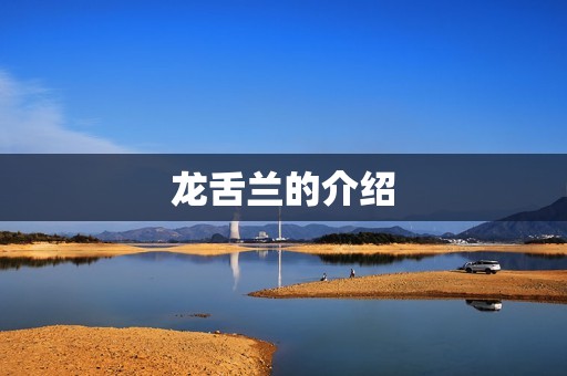 龙舌兰的介绍