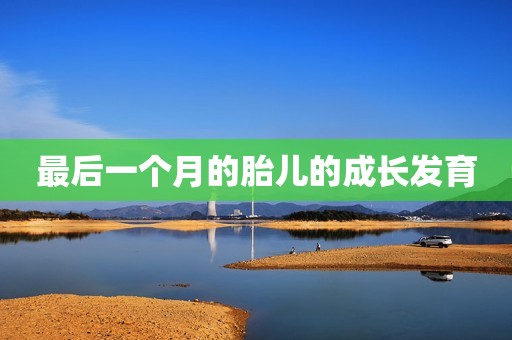 最后一个月的胎儿的成长发育