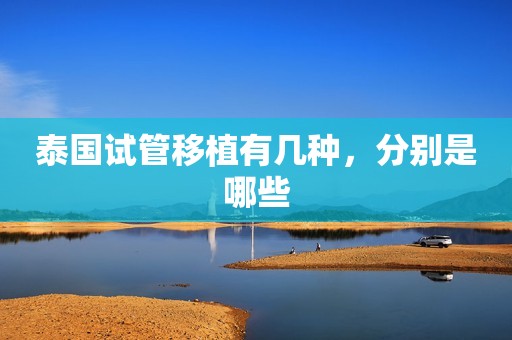 泰国试管移植有几种，分别是哪些