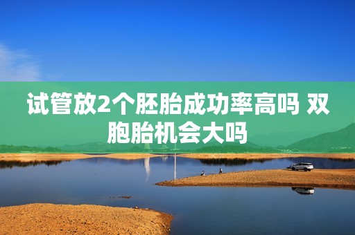 试管放2个胚胎成功率高吗 双胞胎机会大吗