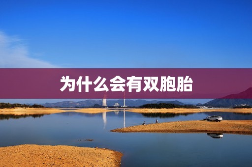 为什么会有双胞胎