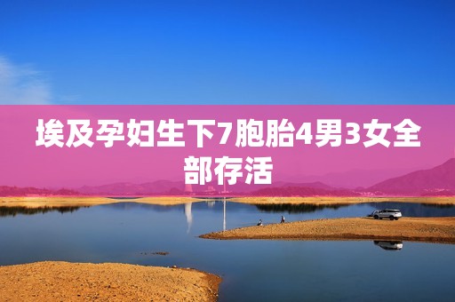 埃及孕妇生下7胞胎4男3女全部存活
