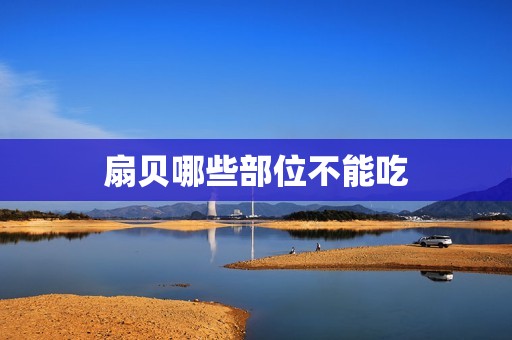扇贝哪些部位不能吃