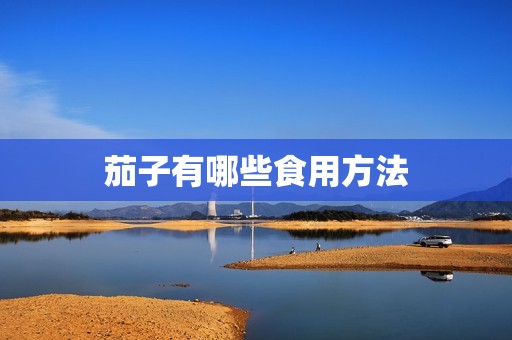 茄子有哪些食用方法