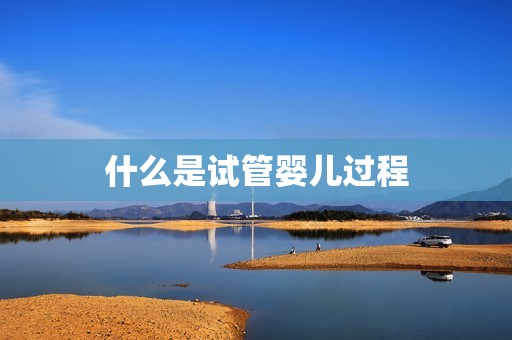 什么是试管婴儿过程