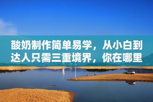 酸奶制作简单易学，从小白到达人只需三重境界，你在哪里呀