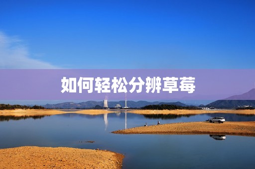 如何轻松分辨草莓