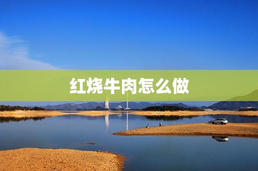红烧牛肉怎么做