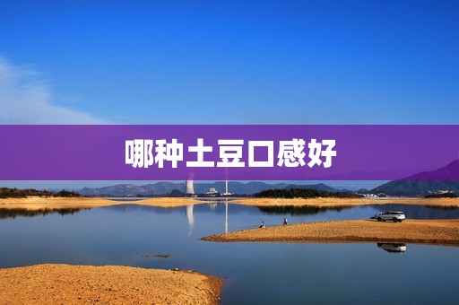 哪种土豆口感好
