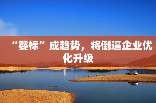 “婴标”成趋势，将倒逼企业优化升级