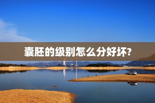 囊胚的级别怎么分好坏?