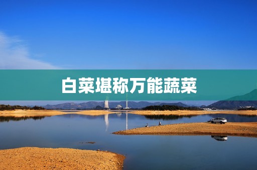 白菜堪称万能蔬菜